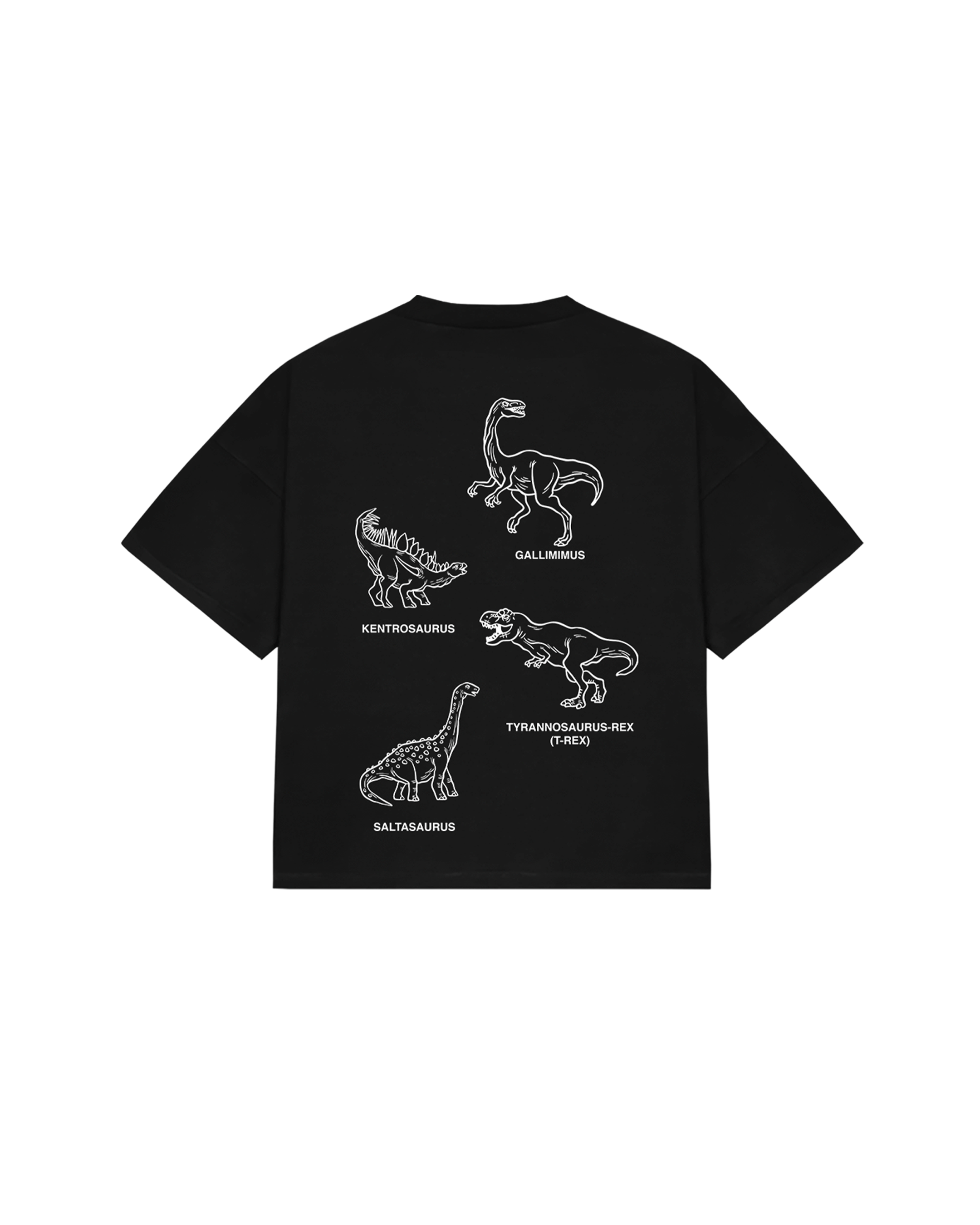 FIELD GUIDE
