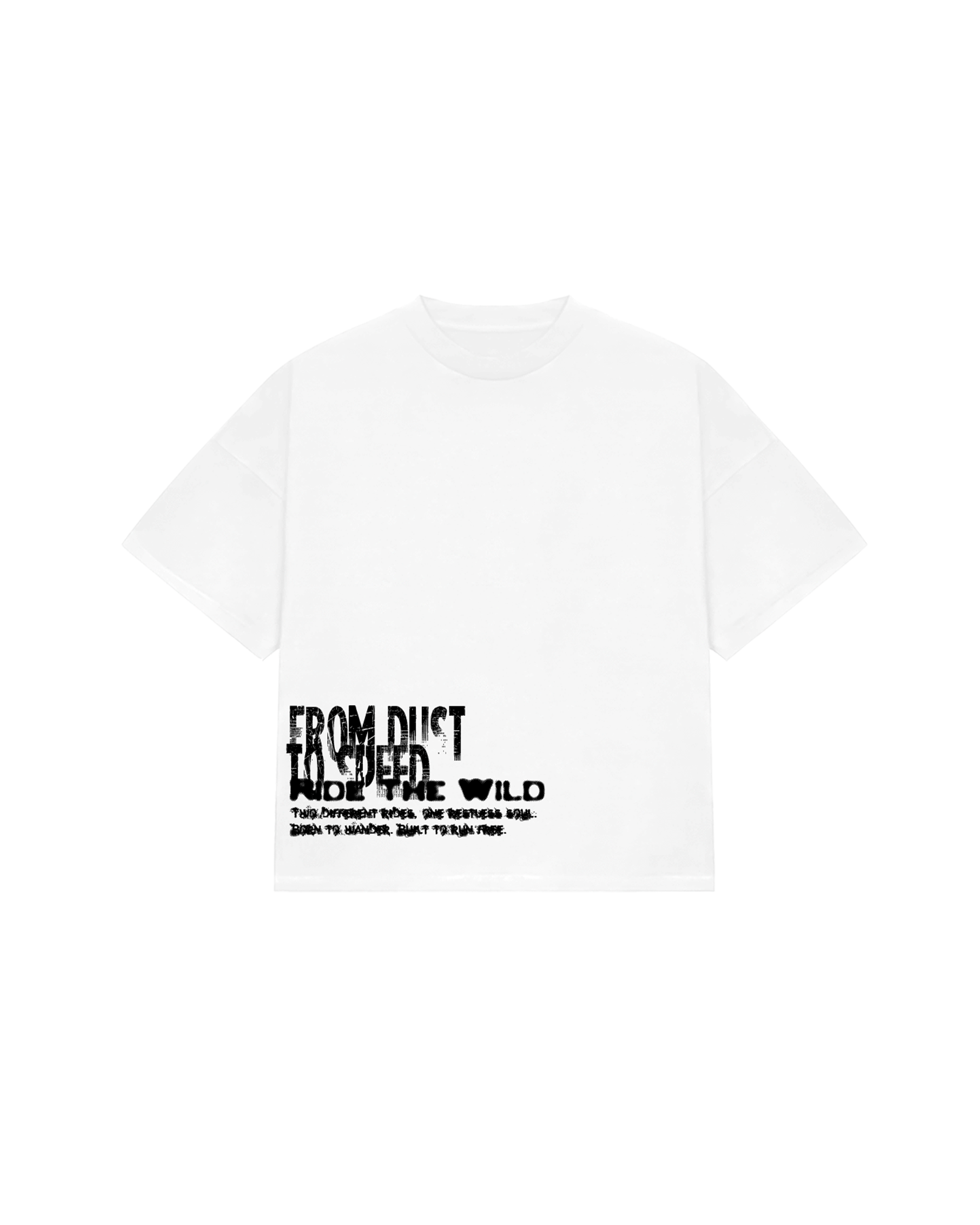 FROM DUST TO SPEED
